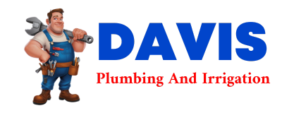 Trusted plumber in LINDALE